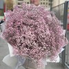 51 розовая гипсофила